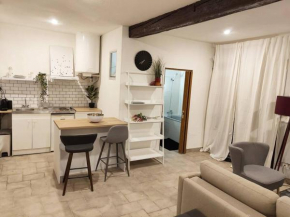 Bordeaux : grand studio cosy avec cour privative